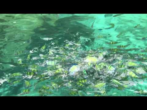 Phi Phi Island Phuket