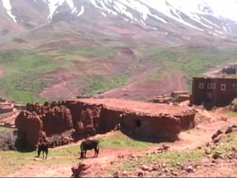 SUR LES TRACES DES DINOSAURES 5/6