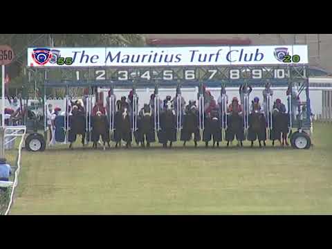 RM5 R5 | Duke's Domain | D.David