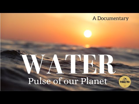 Water Ecosystems: The Planet's Pulse | Vibepedia