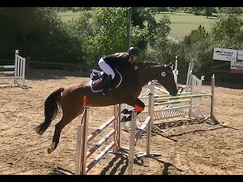 Quiriel (Quiwi Dream - Leandro - Roderik) - Klettgau-Bühl 2018, SPF Kl. A**