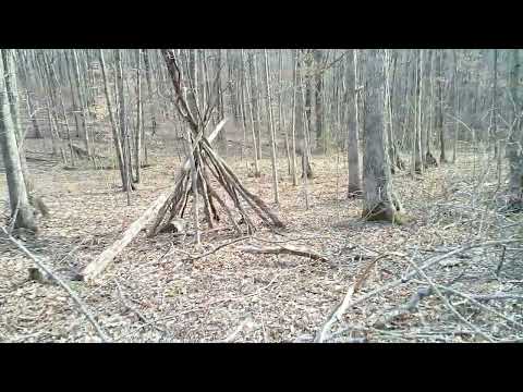 Thumbnail for bigfoot wood sculpter by Hands Like Houses