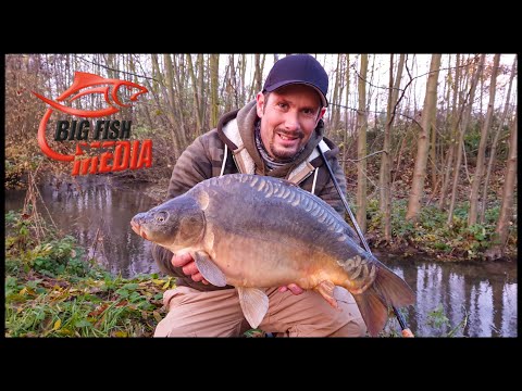 Karpfenangeln am Bach mit dem Winkelpicker - Christians erster Karpfen am Bach