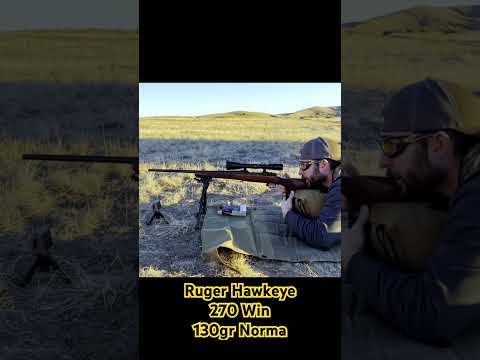 Norma Whitetail Ammo - Full Review of all Loadings