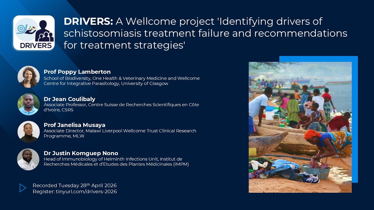 Schistosomiasis treatment failure and improved treatment strategies: DRIVERS, a Wellcome project ​