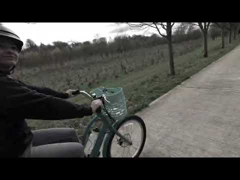 Townie Go! 7D EQ Step Thru