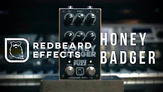 Video thumbnail for Bring The Gnarl | Redbeard Effects Honey Badger Octave Fuzz by Rabea Massaad
