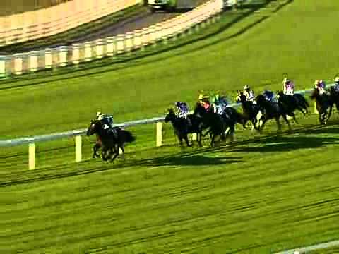 QIPCO Champion Stakes 2011
