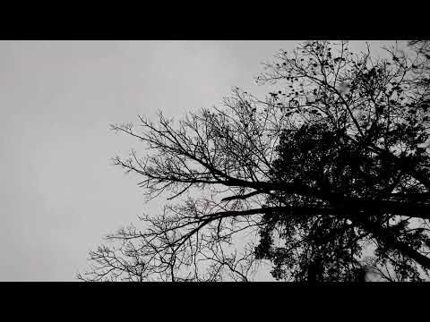 Rain | Snow | Noise to Put You to Sleep