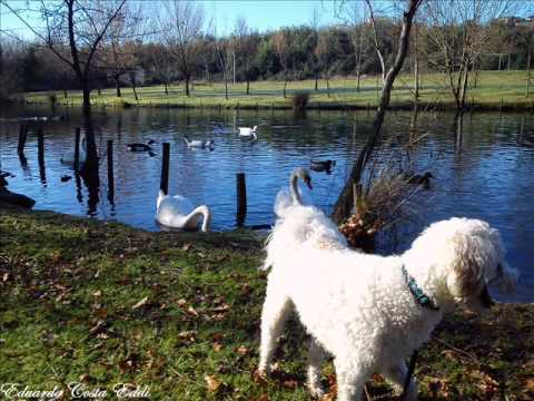 The Avener – Fade Out Lines (Endor Remix)