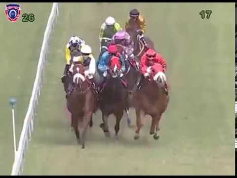 The Noble Salute Cup (G3) - Blow Me Away