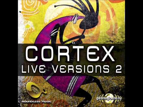Cortex Vs Insane Logic - Kill Zone (Live Mix)