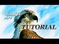 How to Paint a Realistic Bird of Prey