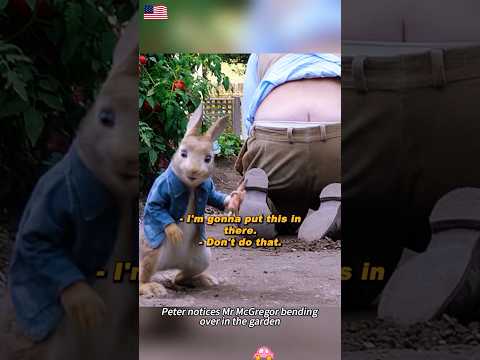 🥕🐰 Peter Rabbit (2018) | Garden Heist Goes Hilariously Wrong! 😱🌿#movie
