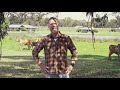 CBCo Paddock To Plate