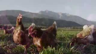 Bewusst Tirol - Best of 2015