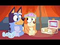 LIVE Exploring With Bluey Bluey
