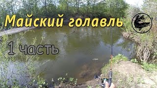Голавль в начале мая на что ловить
