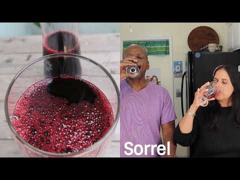 download lagu mp3 mp4 Jamaican Sorrel Tea, download lagu Jamaican Sorrel Tea gratis, unduh video klip Jamaican Sorrel Tea