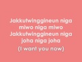 Girls Generation / Snsd - BOYFRIEND ( lyrics ...