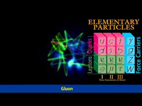 5  Gluons   Standard Model Of Particle Physics