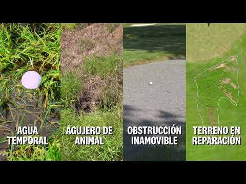 18. Reglas en el Green