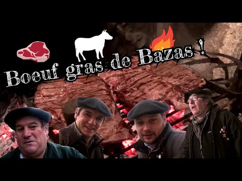 Boeuf gras de Bazas - Terroirs de gueuletons