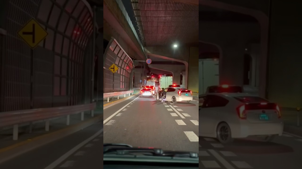 プリウスがキレていっぱい降りてきた