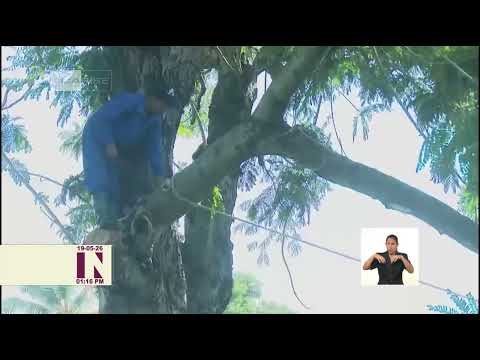 Avanzan labores de recuperación en Bayamo tras la tormenta local severa