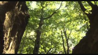 Robin/Marian - Mont�e L�-Haut