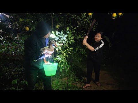 Unforgettable day: CEO Tri's gift makes single mother's heart flutter, happy day.