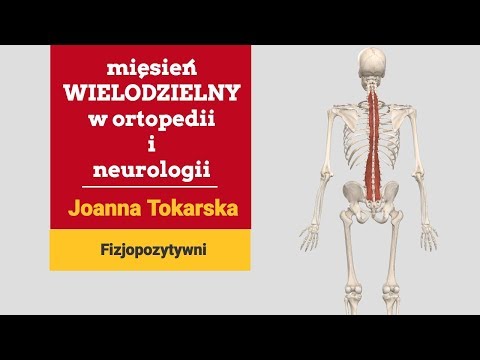 Ćwiczenia dla małych grup mięśniowych Download torrent wideo kulturystyka