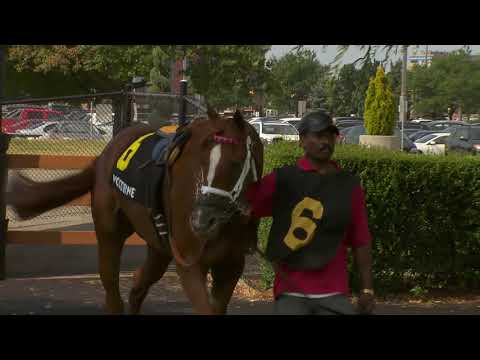 2019 | Meet the Ricoh #WoMile Contenders