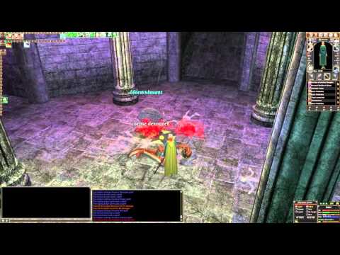 Animst gameplay - Dark Age of Camelot