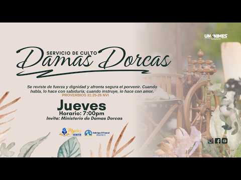 SERVICIO DE DAMAS DORCAS