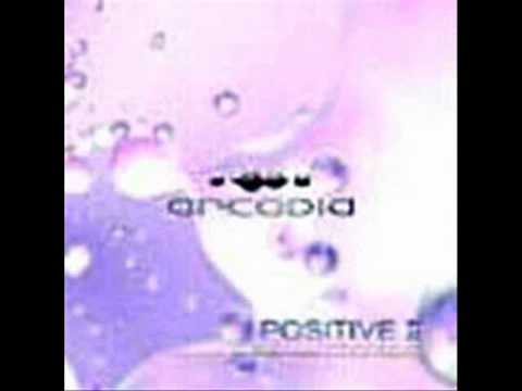 Dado and Dino Psaras hi light