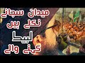 Maidan Sajany Nikly Hain Is Dharti K Rakhwaly TLP Trana HafizWaleed419