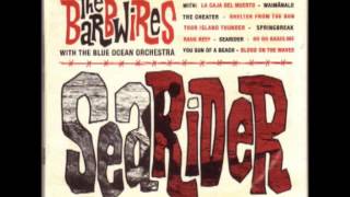 The Barbwires With The Blue Ocean Orchestra ‎– Searider [Full Album]