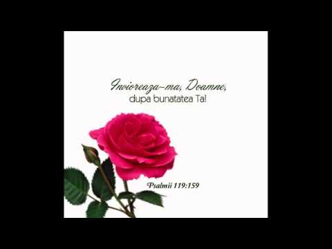 Partasie,partasie-Narcis Topcea