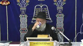 בית המדרש "תורת דוד" ¤ שידור חי ¤ י"ט כסלו תשפ"ו (9.12.2025) (מוסדות תורת דוד) - התמונה מוצגת ישירות מתוך אתר האינטרנט יוטיוב. זכויות היוצרים בתמונה שייכות ליוצרה. קישור קרדיט למקור התוכן נמצא בתוך דף הסרטון