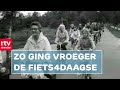'Nederlandse meisjes hebben de mooiste benen dankzij het fietsen' | RTV Drenthe