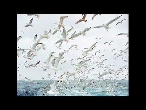 Mr Lager - Tell Me (ft  Alys Be)