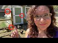 No Your Chickens AREN T SAFE From Predators Until You Do THIS ️