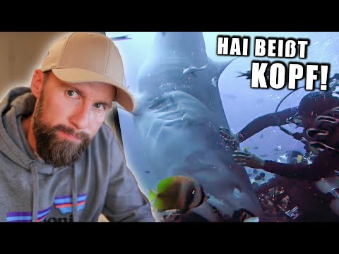 TIGERHAI beißt TAUCHER in den KOPF - Ganz schlimme Situation.. | Robert Marc Lehmann