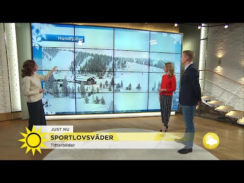 "Mycket snö men det nyper i kinderna" - Nyhetsmorgon (TV4)