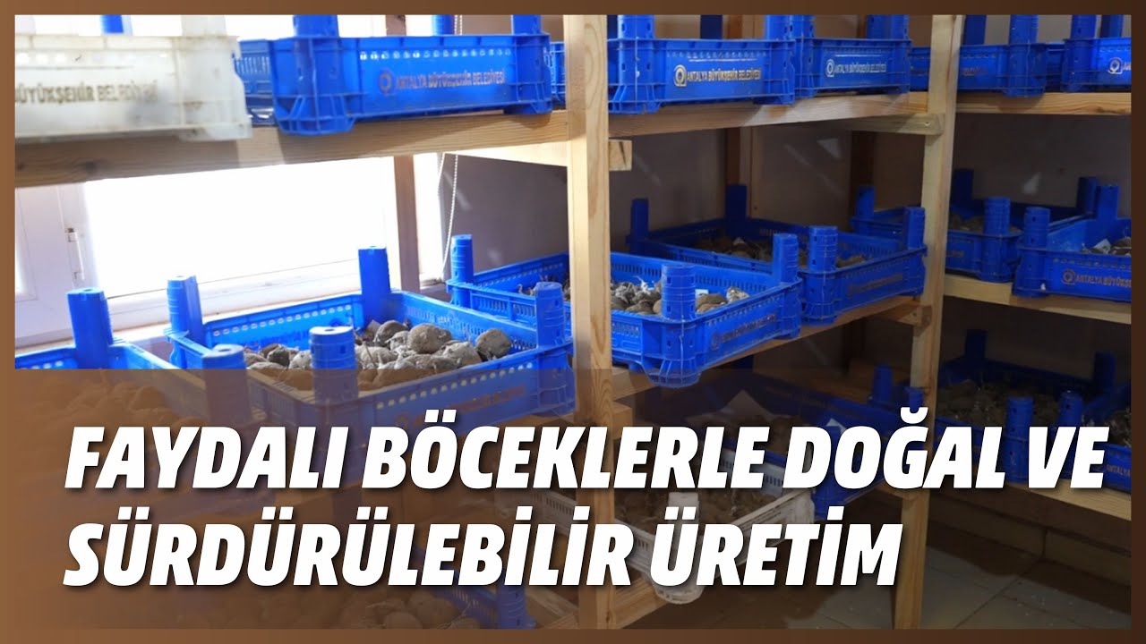 FAYDALI BÖCEKLERLE DOĞAL VE SÜRDÜRÜLEBİLİR ÜRETİM