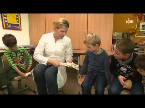 Fuß-Unterrichtsstunde - NDR-Nordmagazin 5.1. Aktion Orthofit "Zeigt her Eure Füße"