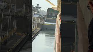 Ship Elevators 🤣🕺🪩🚢 seeing the locks live on the #panamacanal is amazing #cruise #ncl #ncljoy