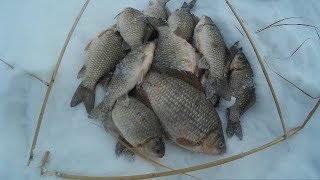 Рыбалка в курганской области на карася зимой