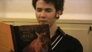 Jonas Brothers; Bad (: